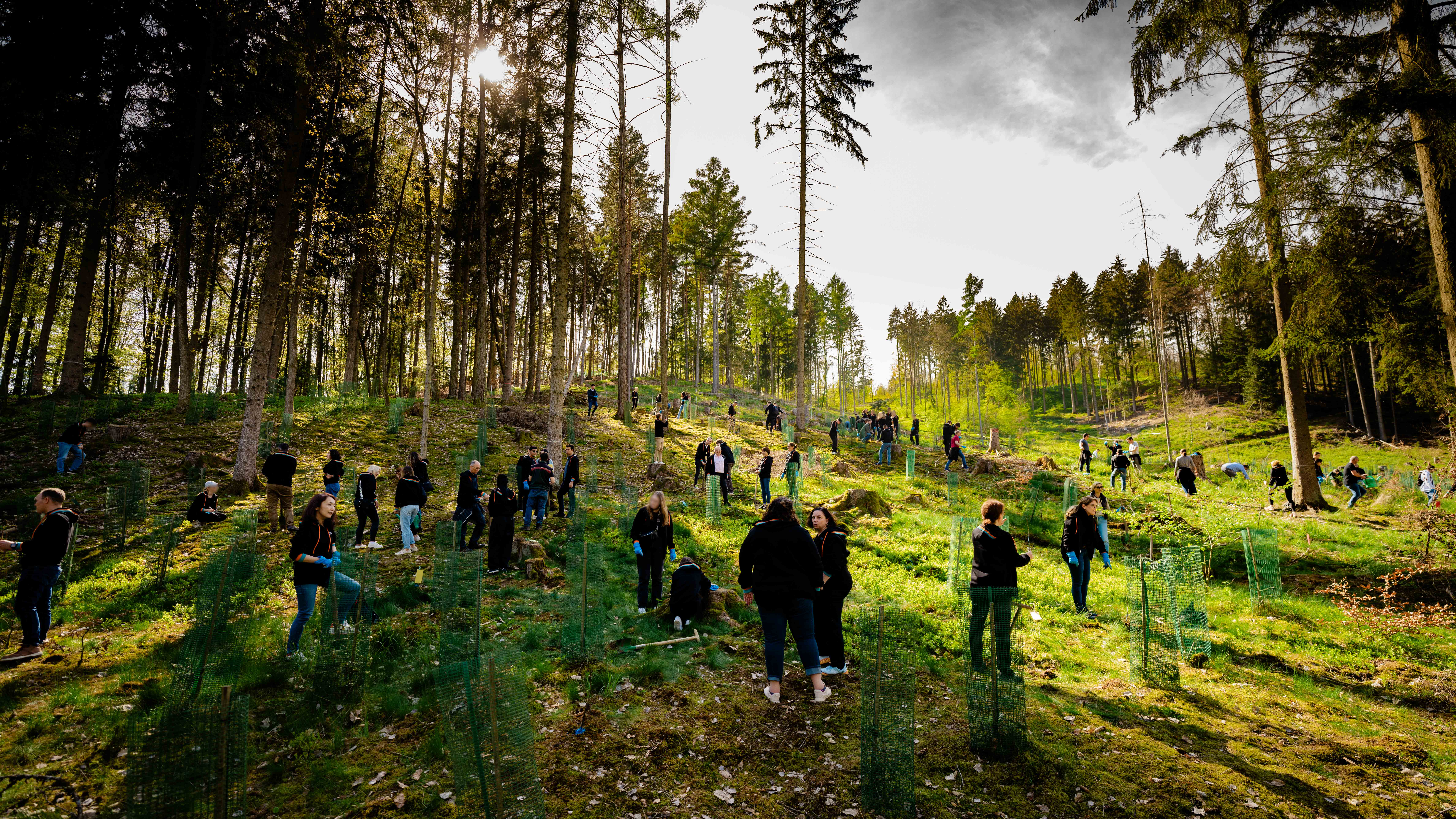 EGF-Gruppe bei der Pfalnzaktion